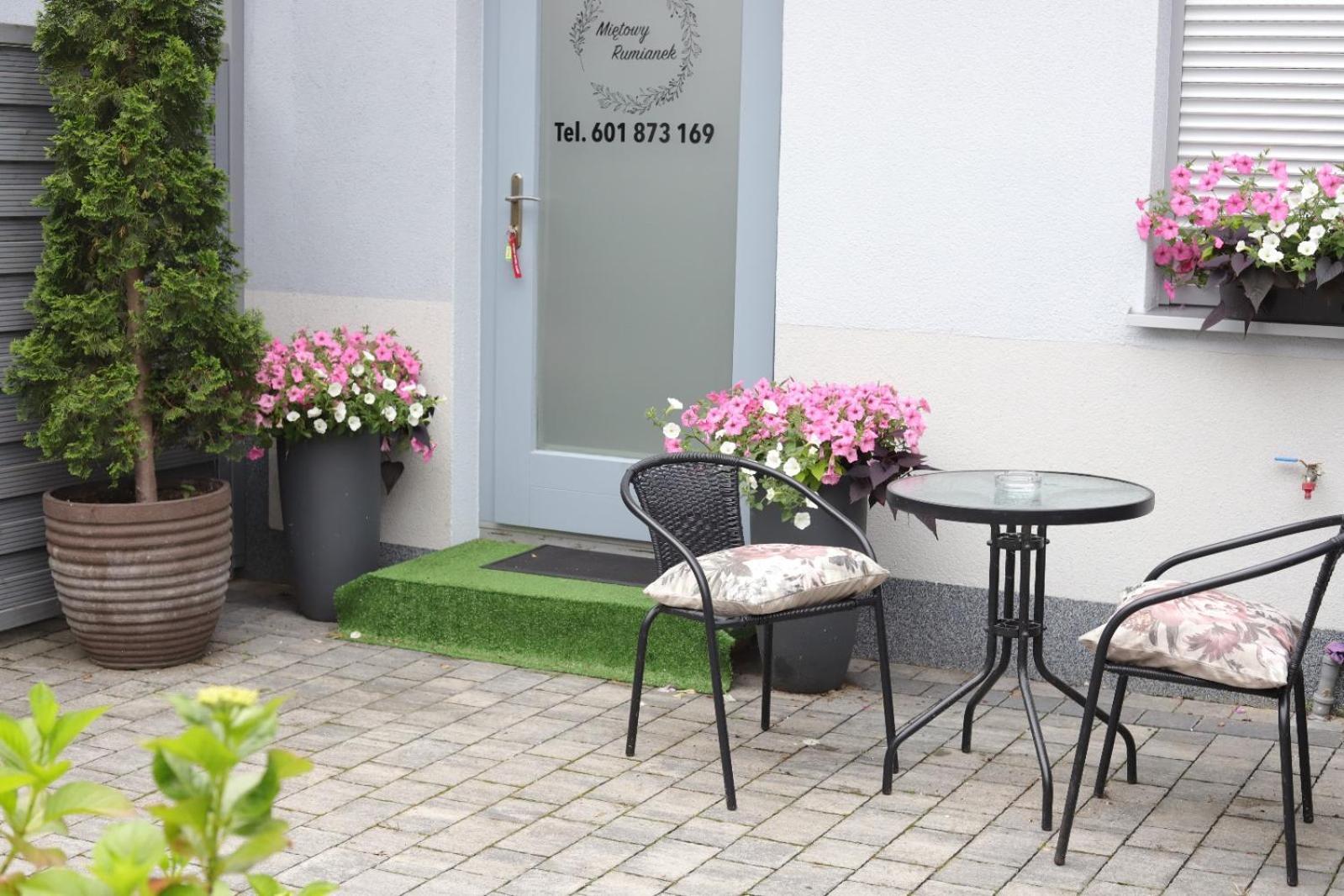2 Apartament Mietowy Rumianek Lwowek Экстерьер фото